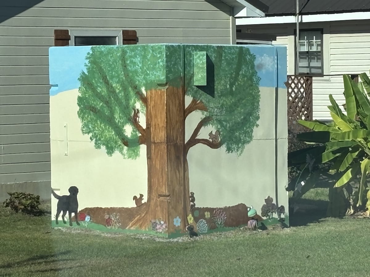 Customer painted storm shelter installation
