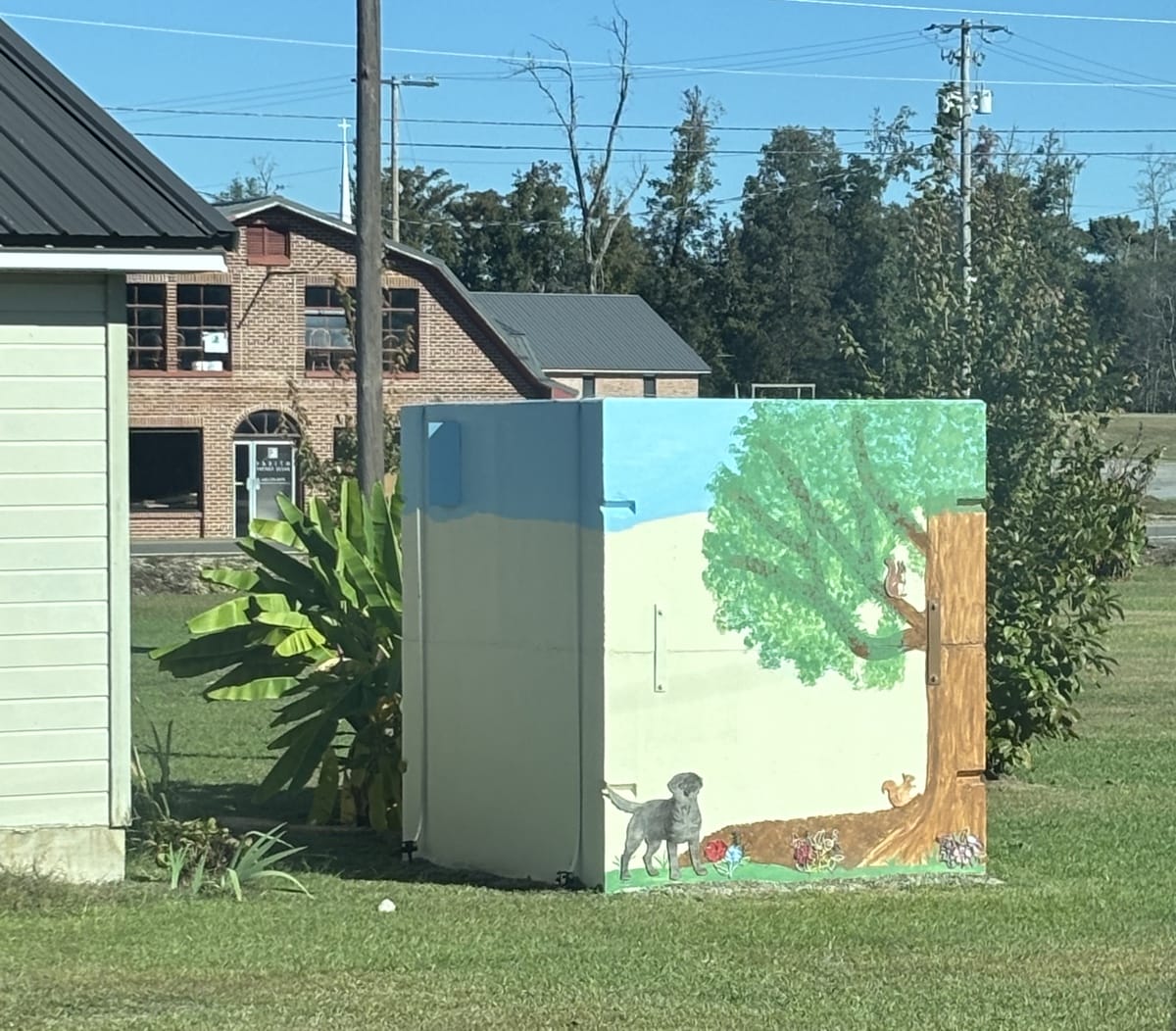 Customer painted storm shelter installation